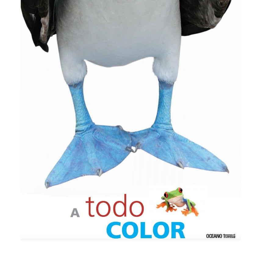 A todo color A todo color